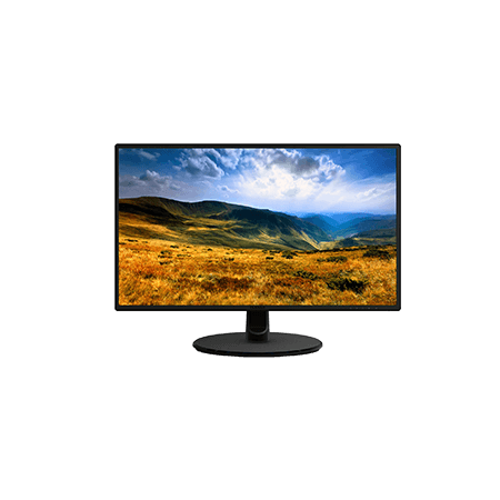 monitor rental