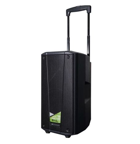 Battery powered portable PA systems